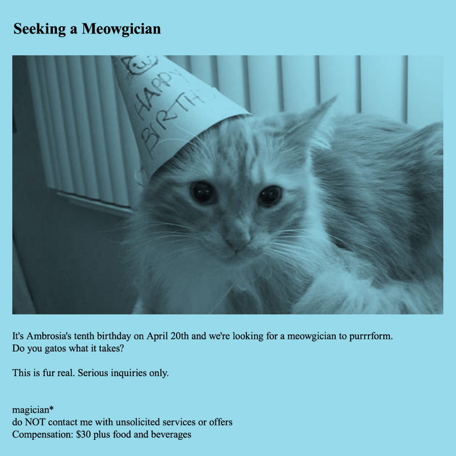 Unusual craigslist ad seeking a feline magician for hire.